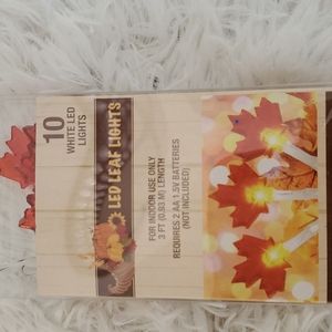 10 led  Leaf/Autumn String Lights